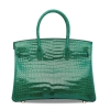 Designer Alligator Handbag-Green-Back