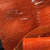 Genuine Alligator Skin-Orange