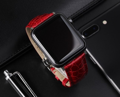 Best Third-party Apple Watch Bands