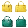 Ostrich Leather Handbags Ladies Ostrich Padlock Bags-Details