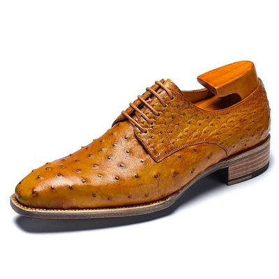 ostrich leather shoes